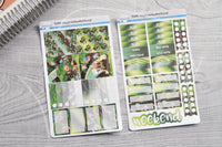 Foxy's enchanted forest weekly kit